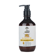Jan London Anti Hair Loss Ginger Shampoo for Healthy Scalp Growth