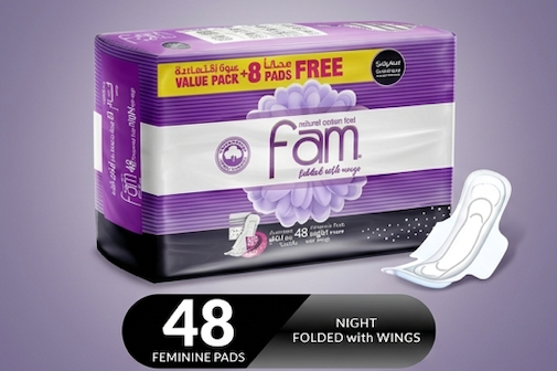Fam Night Sanitary Pads Folded With Wings 48 pcs