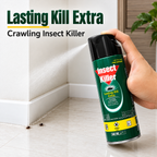 Baygon Lasting Kill Extra 500ml x 2pcs – Powerful Insect Killer Spray