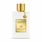 DANTE VII