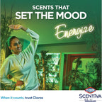 Clorox Scentiva Pine Multipurpose Disinfectant Cleaner Bleach Free 4.5 Litres