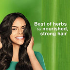 Himalaya Herbals Volume & Thickness Shampoo for Fine & Limp Hair | 400ml