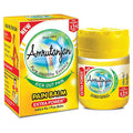 Amrutanjan Balm - 9ml Bottle