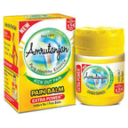 Amrutanjan Balm - 9ml Bottle