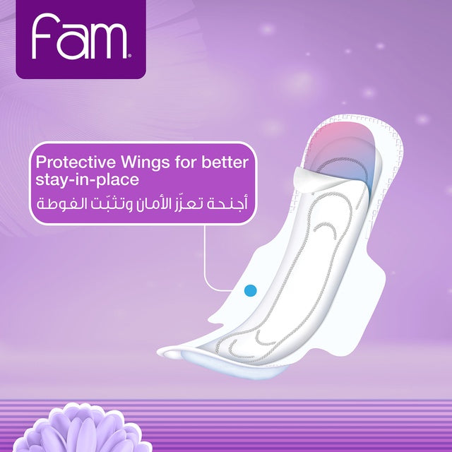 Fam Night Sanitary Pads Folded With Wings 48 pcs