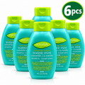 Spa Haus Moisturizing Shampoo 414ml x 6pcs – Tea Tree Mint Freshness