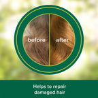 Palmolive Long & Vital Repair Shampoo Infused with Argan Oil | 380ml