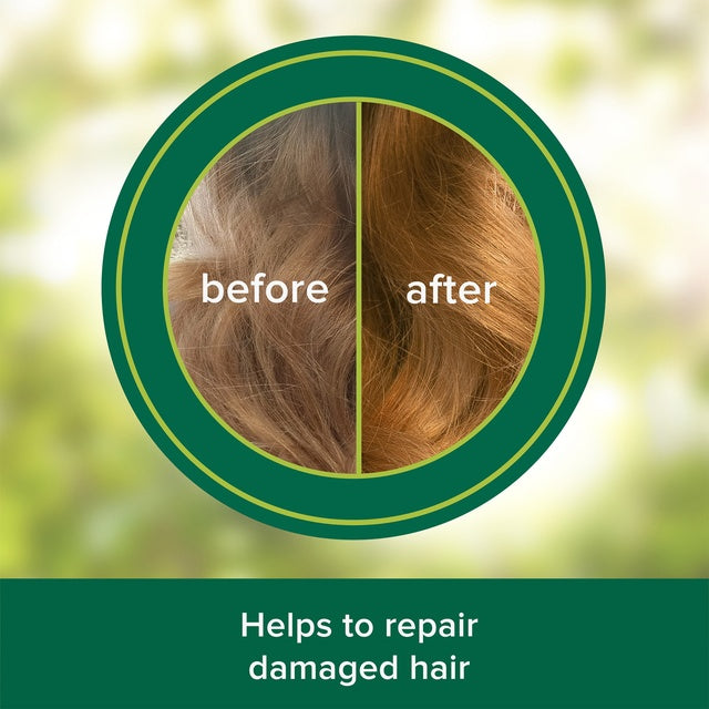 Palmolive Long & Vital Repair Shampoo Infused with Argan Oil | 380ml