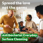 Dettol All-in-One Disinfectant Spray | Crisp Linen Scent | 300ml
