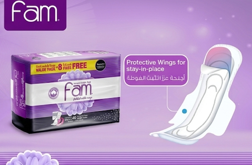 Fam Night Sanitary Pads Folded With Wings 48 pcs