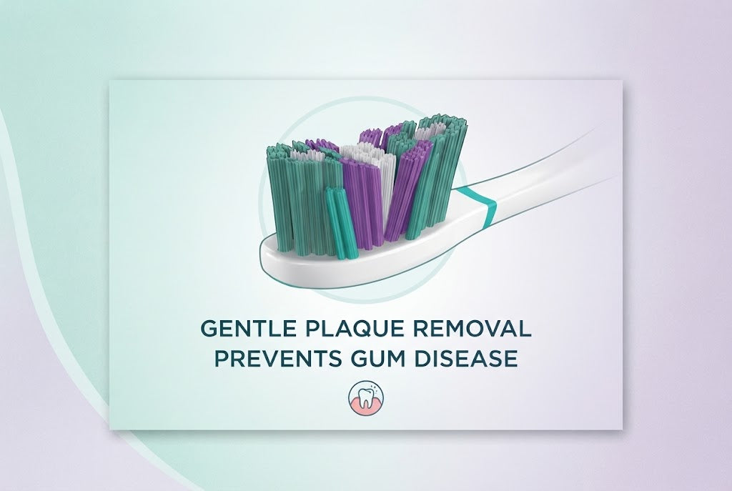 Signal V-Gum Care Medium Toothbrush Multicolour