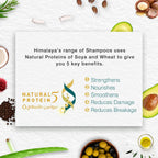 Himalaya Repair & Regenerate Shampoo 400 ml