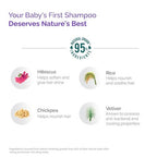 Himalaya Gentle Baby Shampoo | 200ml No Tears Formula