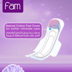 Fam Night Sanitary Pads Folded With Wings 48 pcs
