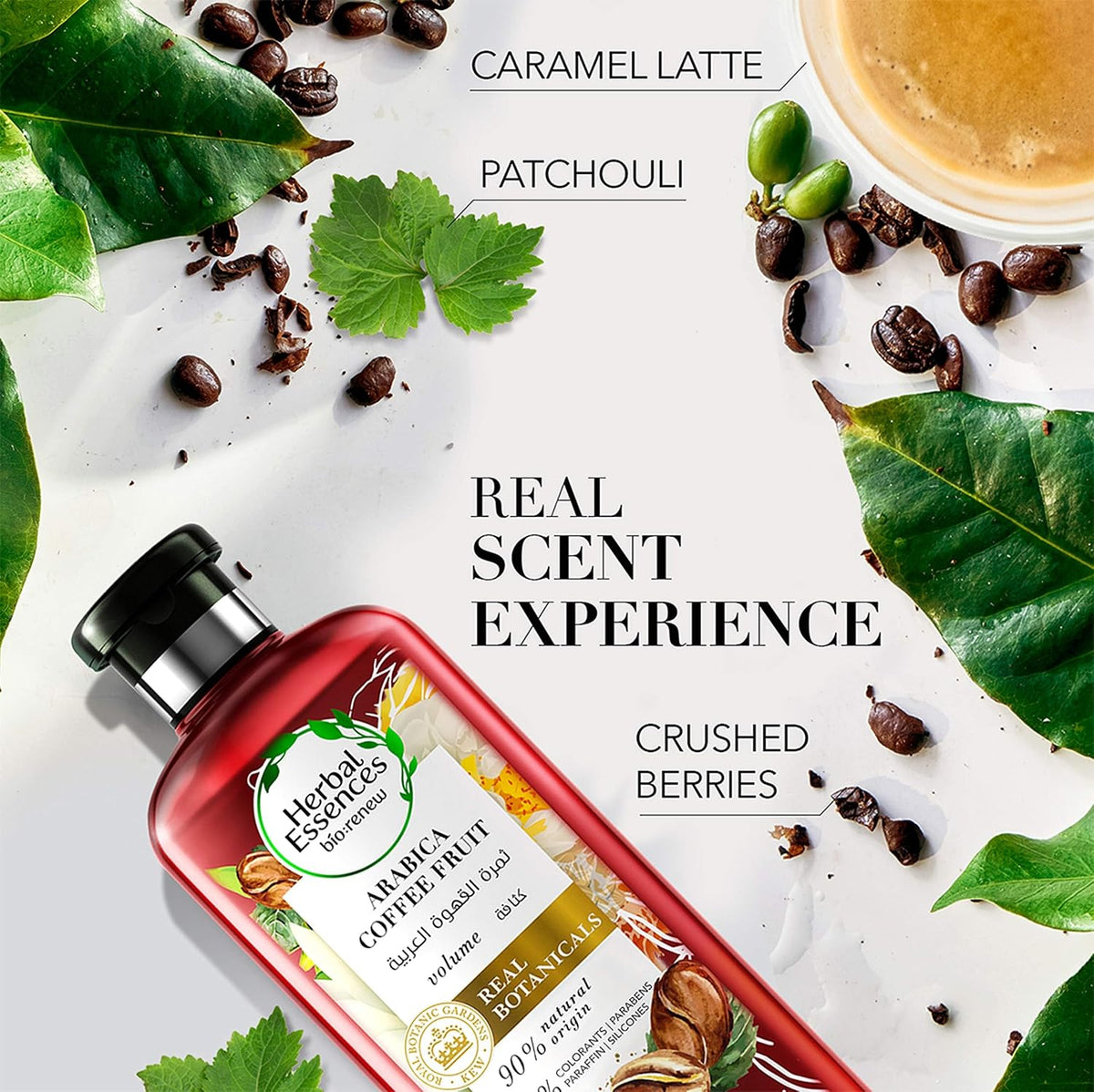 Herbal Essences bio:renew Volume Arabica Coffee Fruit Shampoo & Conditioner Set | 2 x 400ml