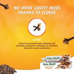Dabur Herbal Clove Toothpaste | Cavity Protection | 4 x 100g (Pack of 4)