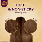 Bajaj Almond Hair Oil for Hair Fall Control & Shine - Value Pack (475ml + 285ml)