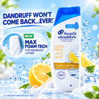 Head & Shoulders Anti-Dandruff Citrus Fresh Shampoo 400ml 4pcs