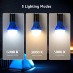 Lepro LED Camping Lantern, Camping Essentials, AAA Batteries Included