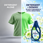 Downy Concentrate Spring Fresh Fabric Softener 2L