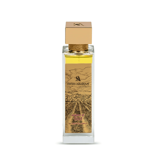 Enigma of Taif Bold Rose Fragrance with Warm Spicy Amber