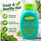Spa Haus Moisturizing Shampoo 414ml x 6pcs – Tea Tree Mint Freshness