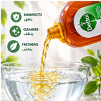 Dettol Liquid 1L x 2pcs – Multipurpose Antiseptic Care for Home & Family