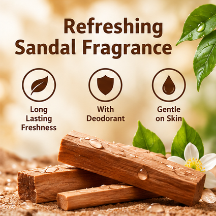 Cinthol Sandal Soap 175g  x 12 pcs – Fresh Cleansing with Sandal Fragrance
