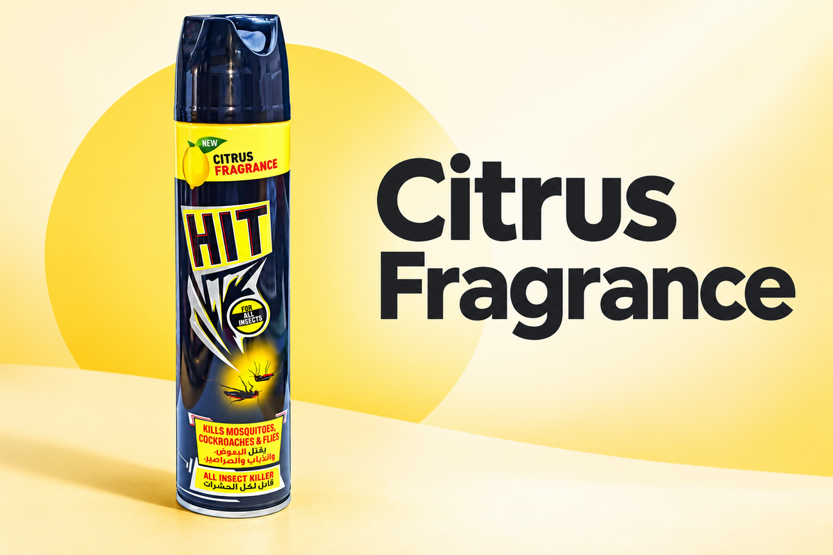 HIT Black Insect Killer Spray – Citrus Fragrance, 300 ml