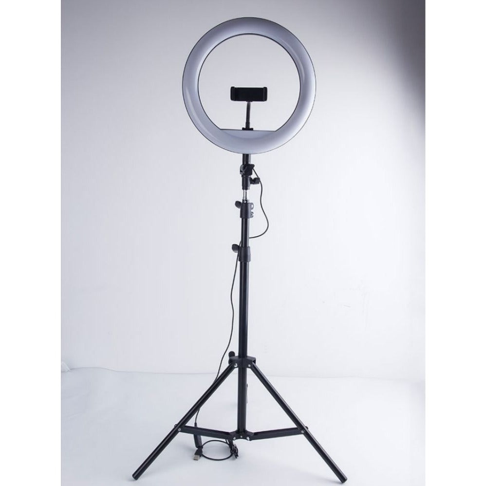 12 Inch Dimmable Ring Light with Tripod and Phone Clip for Selfies - photo 1