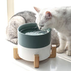 Elevated Ceramic Pet Bowl with Raised Stand for Cats and Dogs Feeder - photo 1