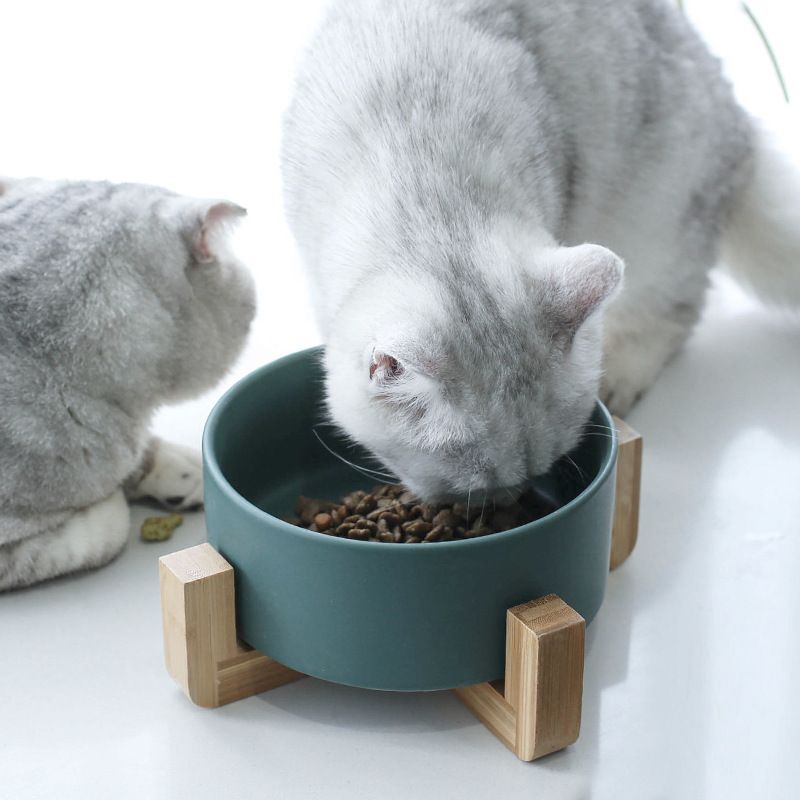 Elevated Ceramic Pet Bowl with Raised Stand for Cats and Dogs Feeder - photo 2