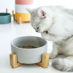 Elevated Ceramic Pet Bowl with Raised Stand for Cats and Dogs Feeder - photo 3