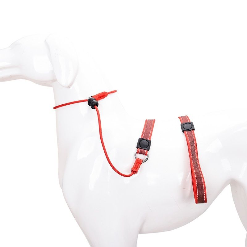 Dog Training Leash Anti-Slip Control Rope for Walking & Trainer - photo 4