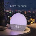Sunrise Alarm Clock Wake Up Light Digital Table Clock with Sound - photo 1