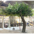 Artificial Ficus Tree Large Arch Shape Indoor Decor Plant Stand - photo 1