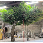 Artificial Ficus Tree Large Arch Shape Indoor Decor Plant Stand - photo 2
