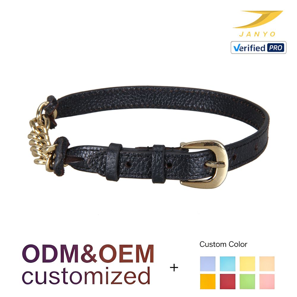 Dog Collar Leather Gold Chain Accent Luxury Pet Neckwear UAE - photo 1