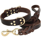 Woven Leather Dog Collar and Leash Set for Small and Medium Dogs - photo 1