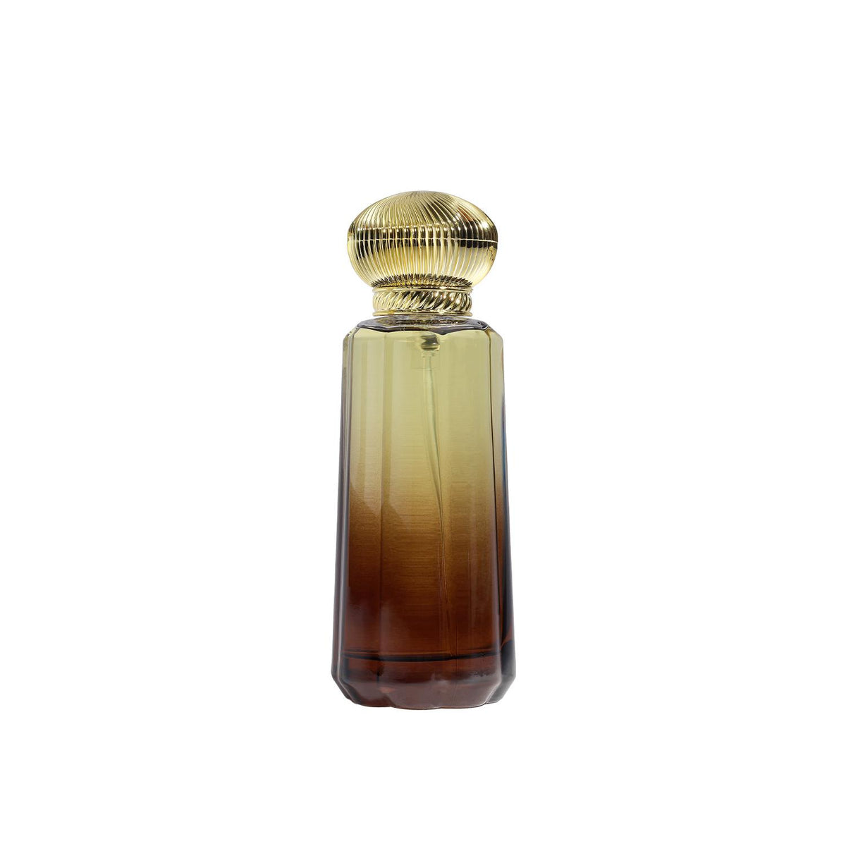 Shay Jadeed Eau de Parfum Long Lasting Citrus Floral Oud Scent